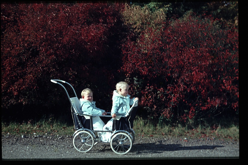 29.Horsten okt 1964 Brigitte,Marion.JPG